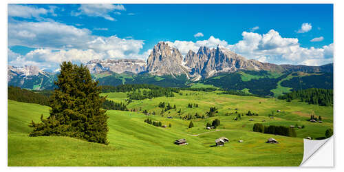 Sticker mural Spring on the Seiser Alm with the Sassolungo in the background