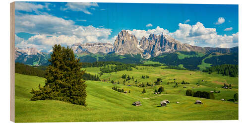 Hout print Spring on the Seiser Alm with the Sassolungo in the background