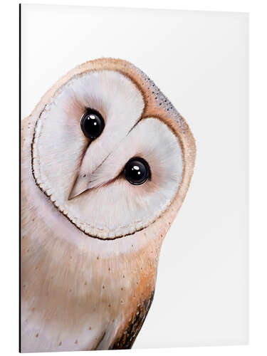 Obraz na aluminium Cute Owl