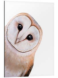 Aluminiumsbilde Cute Owl