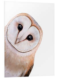 Tableau en PVC Cute Owl