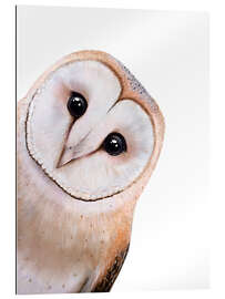 Gallery print Cute Owl