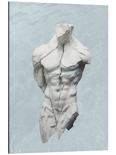 Aluminium print Tranquil Resilience Torso