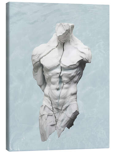 Tableau sur toile Tranquil Resilience Torso