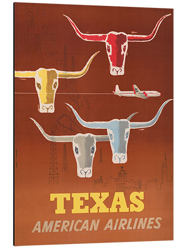 Alubild Texas American Airlines