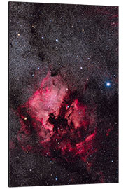 Print på aluminium North America Nebula