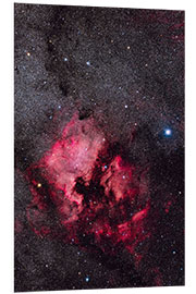 Foam board print North America Nebula