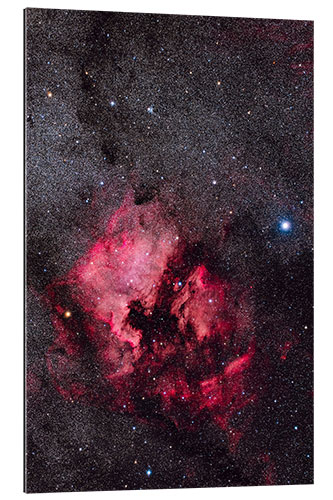 Tableau en plexi-alu North America Nebula