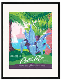 Gerahmter Kunstdruck Palmenpark in Puerto Rico