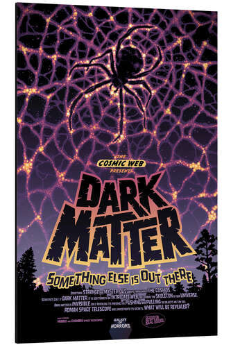Aluminium print Dark Matter - Cosmic Web