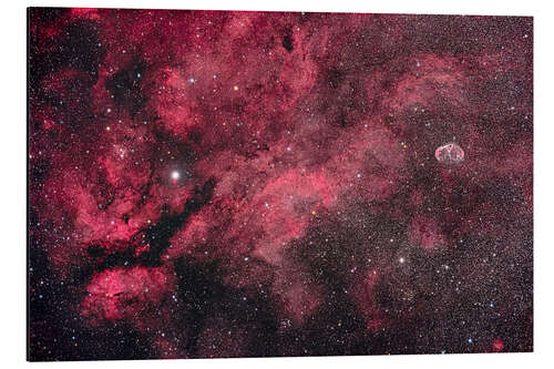 Aluminium print Nebulosity in Central Cygnus near the star Gamma Cygni