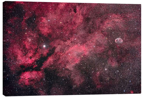 Canvas print Nebulosity in Central Cygnus near the star Gamma Cygni