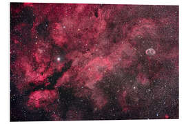 Foam board print Nebulosity in Central Cygnus near the star Gamma Cygni