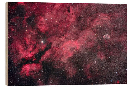 Wood print Nebulosity in Central Cygnus near the star Gamma Cygni