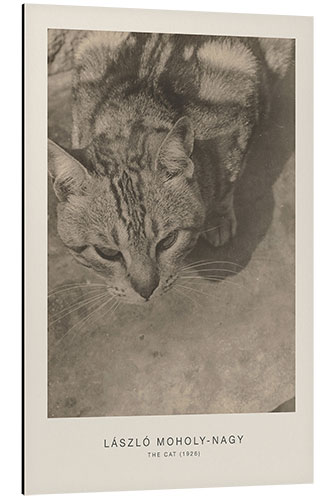 Aluminium print The Cat, 1926