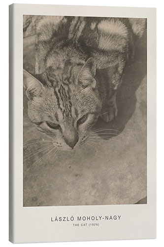 Leinwandbild The Cat, 1926