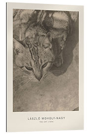 Gallery print The Cat, 1926