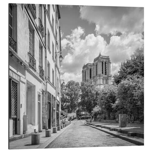 Aluminium print Notre Dame de Paris Cathedral