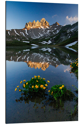 Stampa su alluminio Lobhörner in the Evening Light in the Bernese Oberland