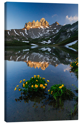 Canvas print Lobhörner in the Evening Light in the Bernese Oberland