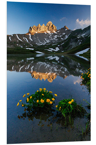 Foam board print Lobhörner in the Evening Light in the Bernese Oberland