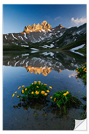 Sticker mural Lobhörner in the Evening Light in the Bernese Oberland