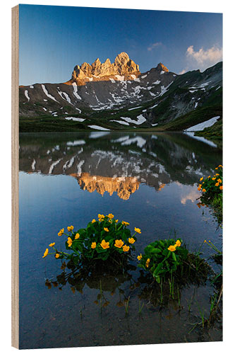 Wood print Lobhörner in the Evening Light in the Bernese Oberland