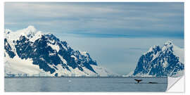 Selvklæbende plakat Two Humpbacks Feed On Krill in Antarctica