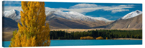 Canvastavla Fall Scene on Lake Tekapo on the South Island of New Zealand