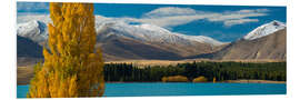 Hartschaumbild Herbstszene am Lake Tekapo auf der Südinsel Neuseelands