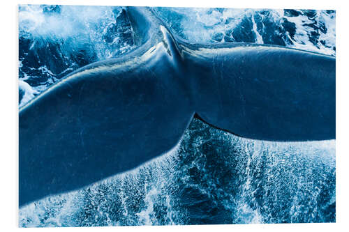 Foam board print Tail of a Right Whale Making Splashes