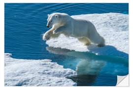 Sticker mural Polar Bear Leaps on the Edge of the Sea Ice