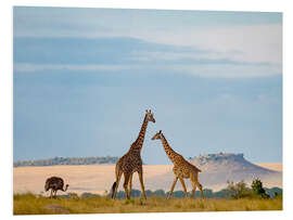 Tableau en PVC Masai Giraffe and Ostrich in Serengeti National Park