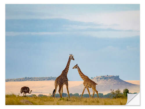 Selvklebende plakat Masai Giraffe and Ostrich in Serengeti National Park