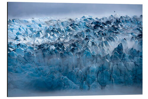 Stampa su alluminio Morning Fog on Lamplugh Glacier, Alaska