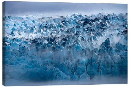 Canvas print Morning Fog on Lamplugh Glacier, Alaska