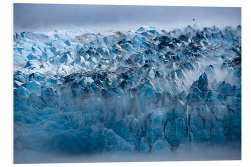 Foam board print Morning Fog on Lamplugh Glacier, Alaska