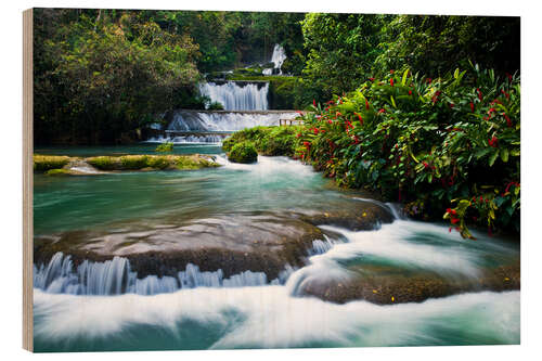 Wood print A 7 Tiered Cascading Waterfall on Jamaica's South Coast