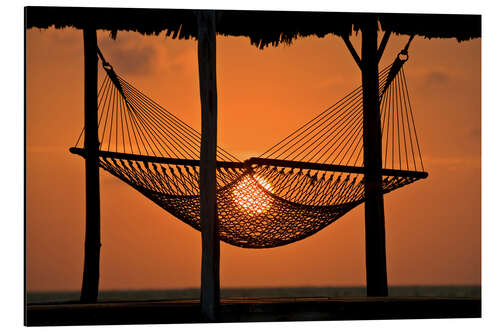 Quadro em alumínio Hammock Silhouetted at Sunset