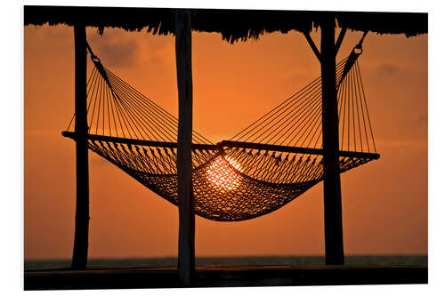 PVC print Hammock Silhouetted at Sunset