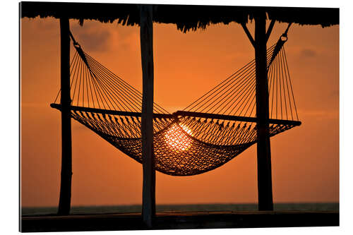 Stampa su plexi-alluminio Hammock Silhouetted at Sunset