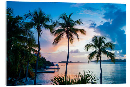 Akrylbilde Palm Trees on Saint Thomas, Virgin Islands