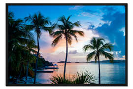 Gerahmter Kunstdruck Palmen auf der Karibikinsel Saint Thomas, Virgin Islands