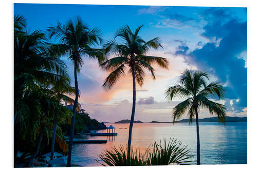 PVC print Palm Trees on Saint Thomas, Virgin Islands