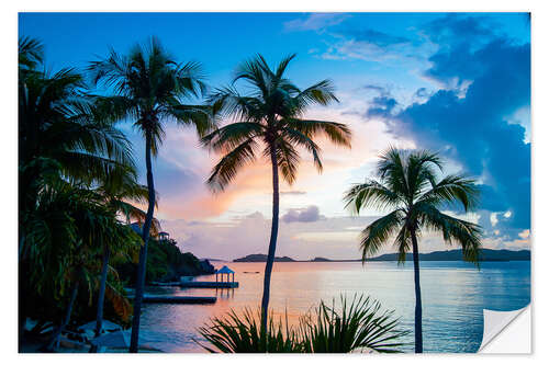 Wall sticker Palm Trees on Saint Thomas, Virgin Islands