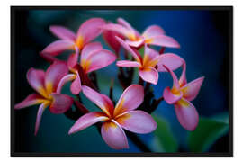 Gerahmter Kunstdruck Büschel Schöner Mehrfarbiger Blüten