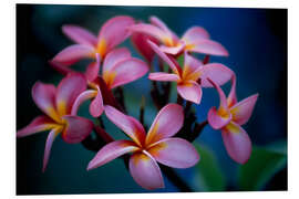 Foam board print Cluster of Beautiful Multi Coloured Blossoms