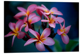 Magnettafel Büschel Schöner Mehrfarbiger Blüten