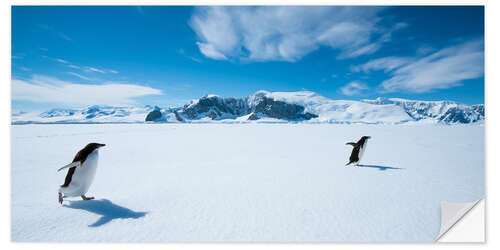 Wall sticker Running Penguins