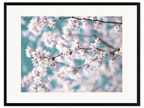 Kunsttryk i ramme Blossom flowers